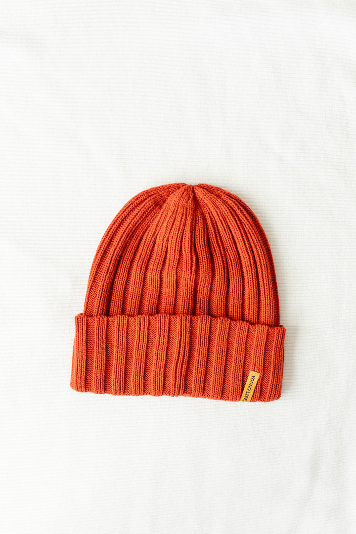 Knit Cuffed Beanie