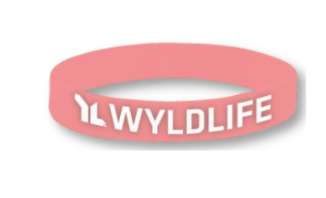 Special Ministry Silicone Bracelets