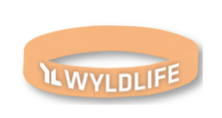 Special Ministry Silicone Bracelets