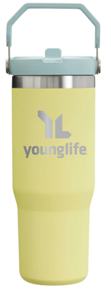 30 Oz. Double Wall Insulated Tumbler