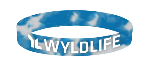 Special Ministry Silicone Bracelets
