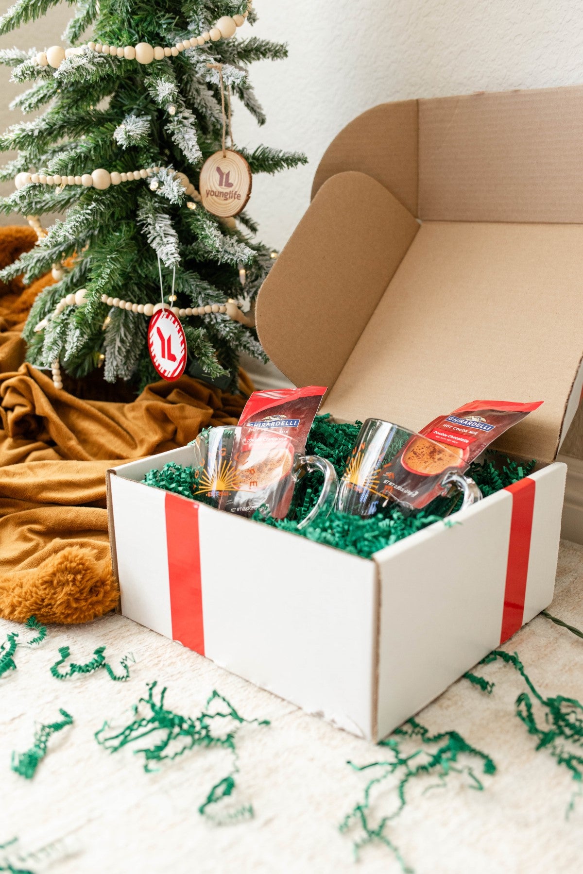 Young Life Christmas Kit